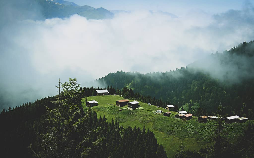 Pokut Yaylası